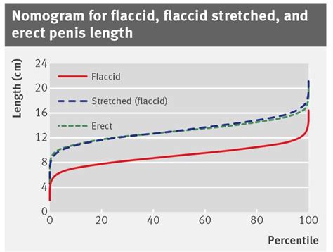 flaccid big cocks|'big flaccid cock' Search .